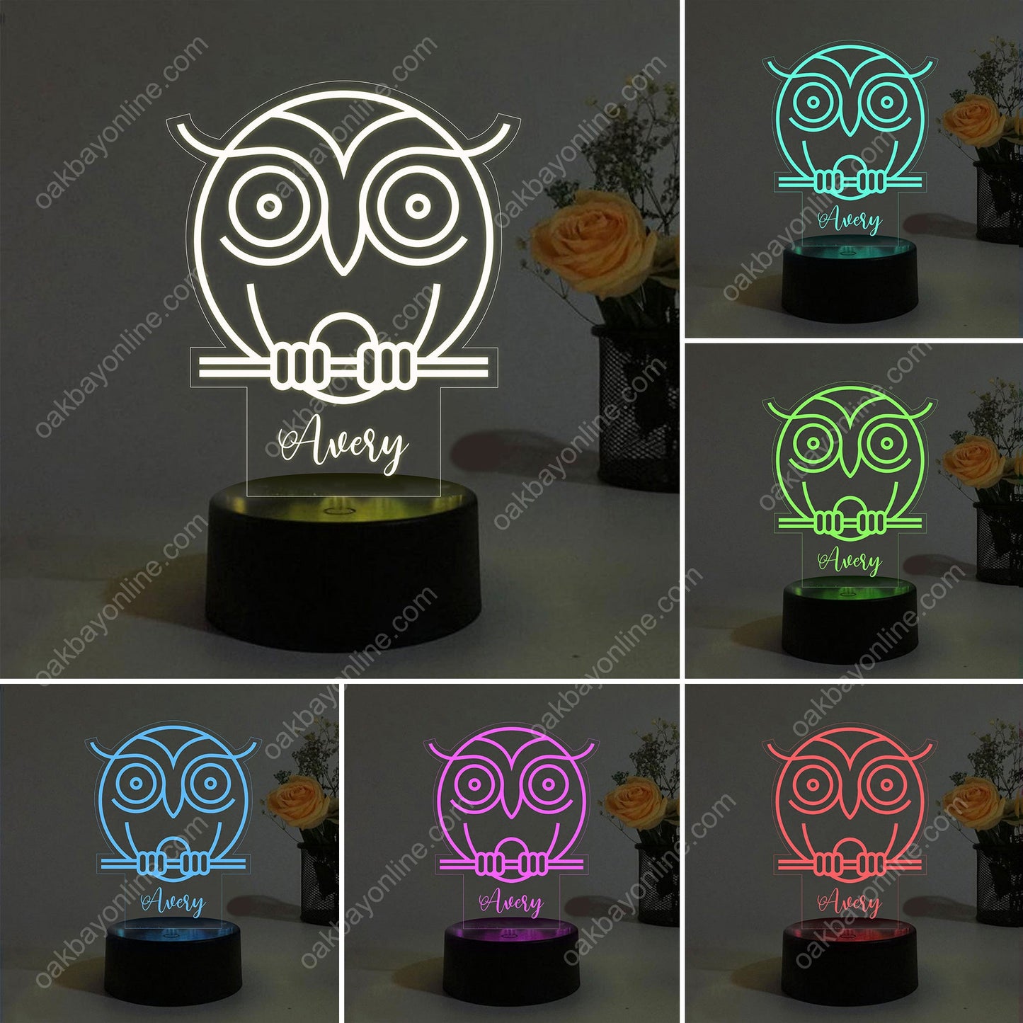 Custom Night Lights Owl XIV 15