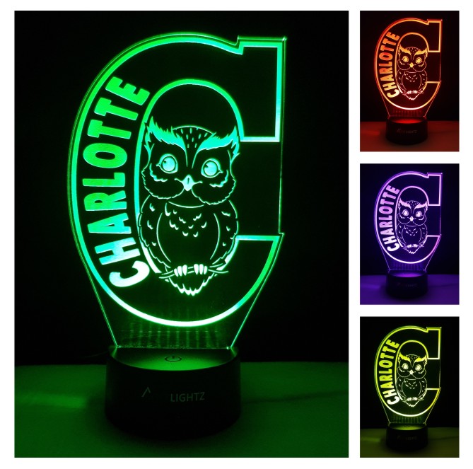 Custom Animal Night Lights XI08-Owl