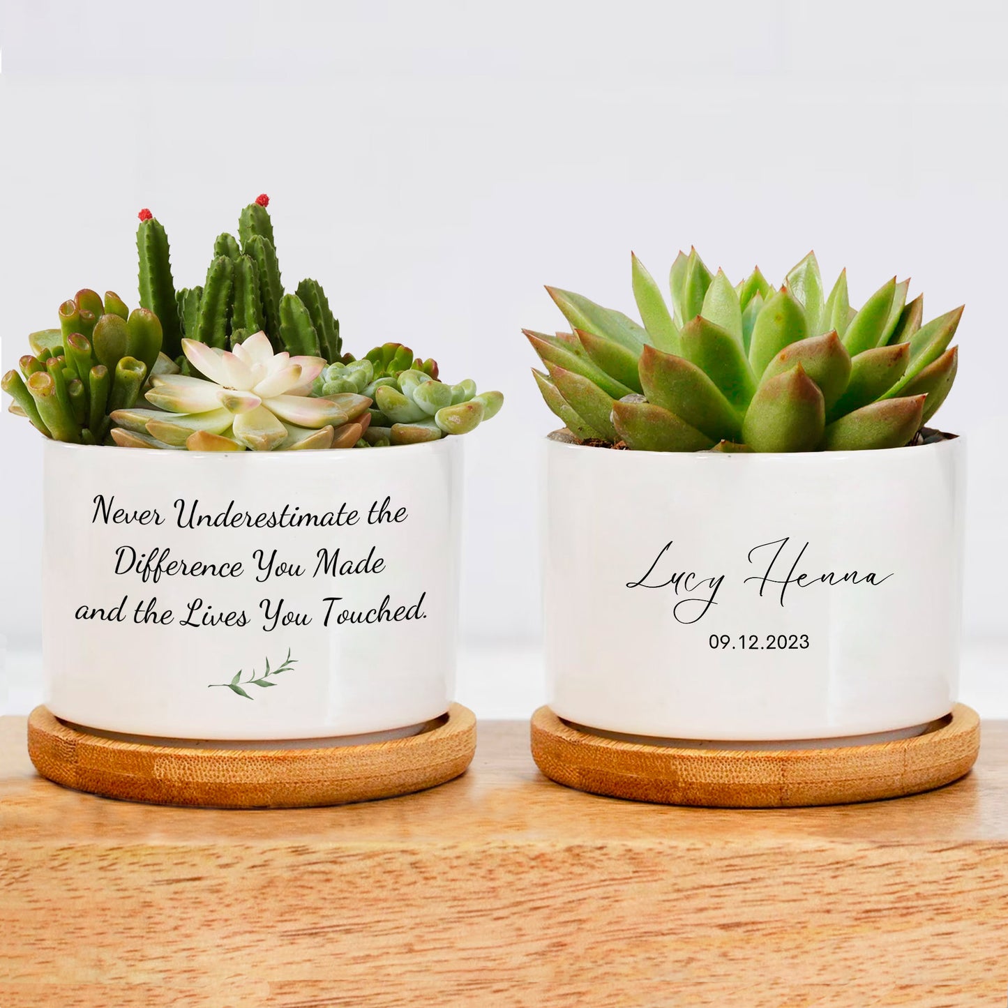 Custom Plant Pot Gift for Mom- P10