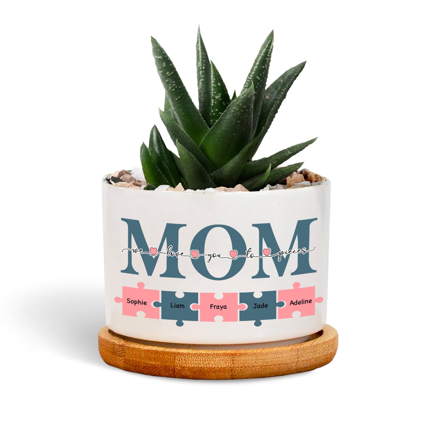 Custom Plant Pot Gift for Mom- P3