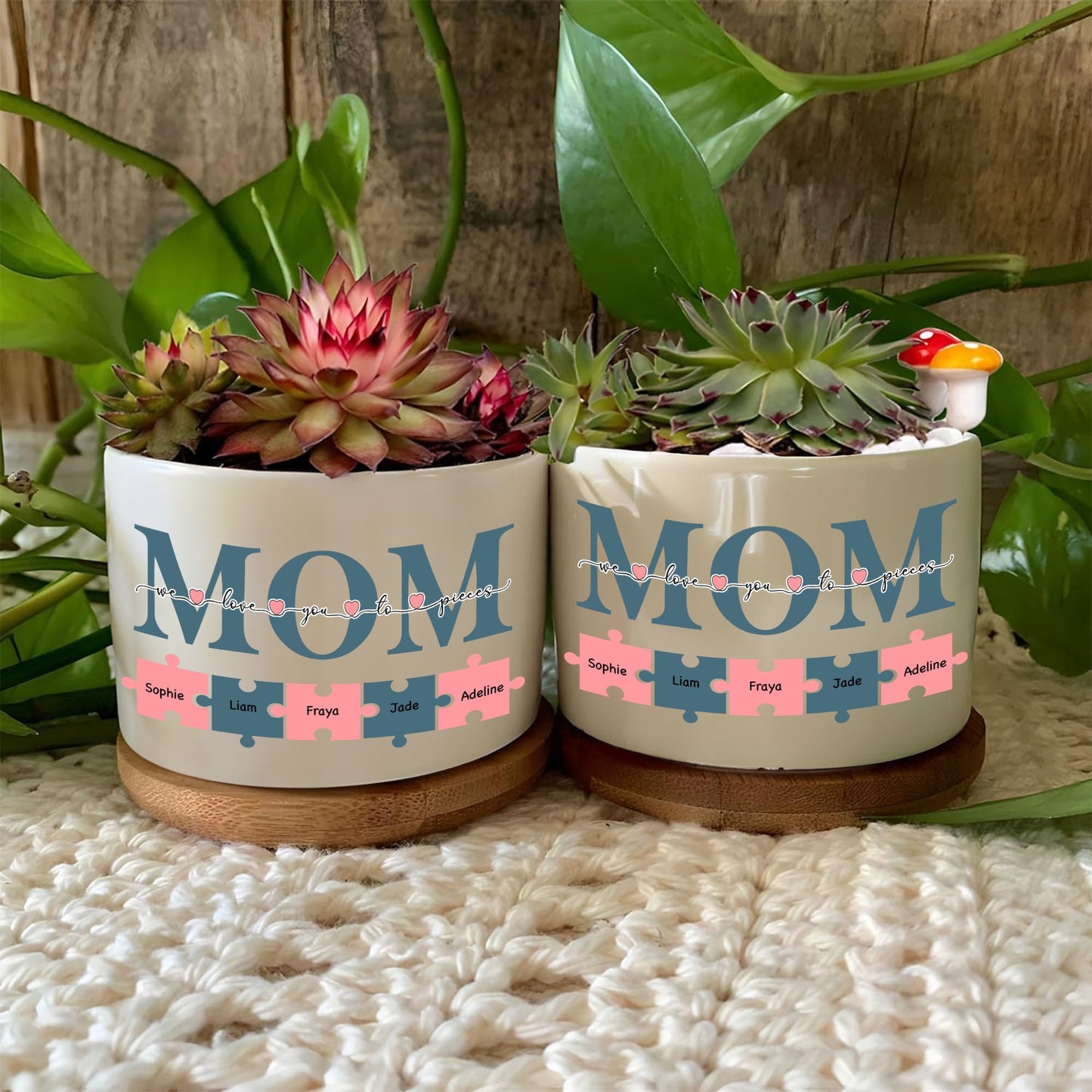 Custom Plant Pot Gift for Mom- P3